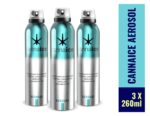Aerosol refrescante, hidratante y de bienestar corporal 260 ml X3 - Imagen 2