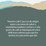 Café Juan Valdez Origen Cauca Grano 454 gr - Imagen 3