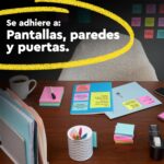 73064543